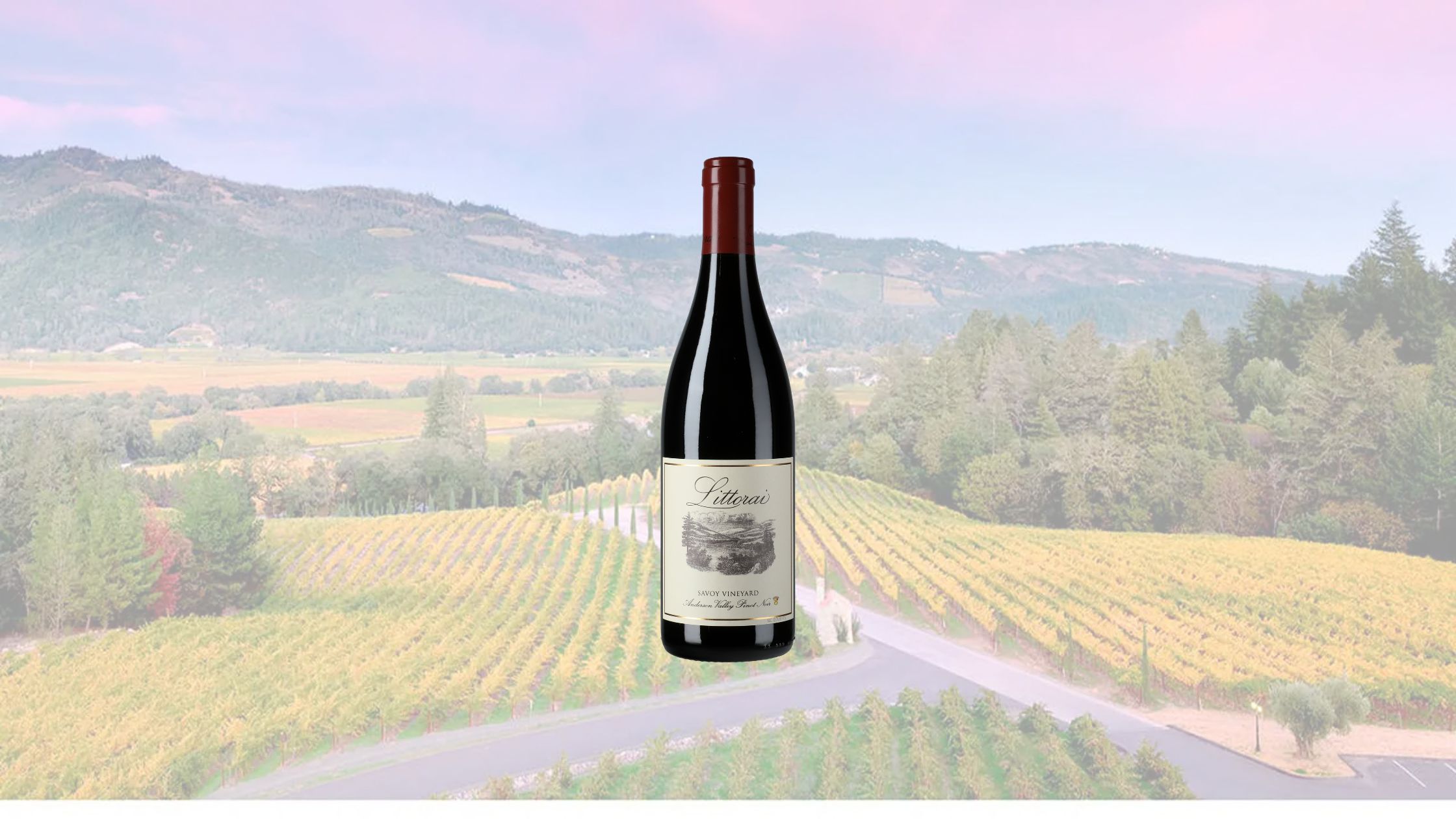 Dominus Estate - 10 Legendary American Wineries Defining U.S. Winemaking in 2026